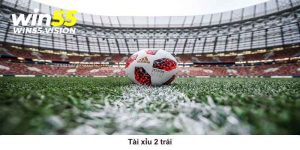 Thông tin về tài xỉu 2 trái